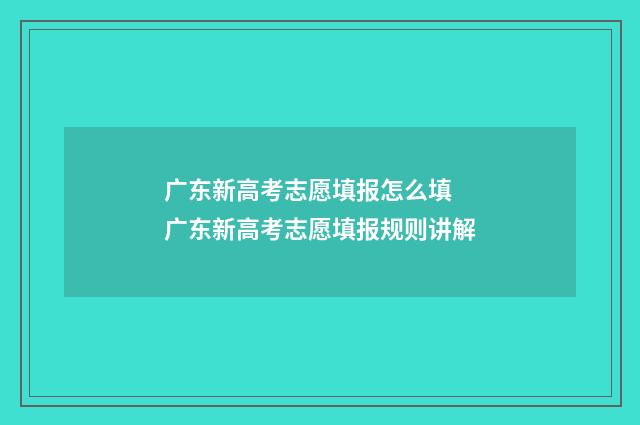广东新高考志愿填报怎么填 广东新高考志愿填报规则讲解