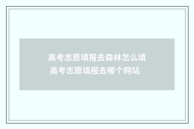 高考志愿填报去森林怎么填 高考志愿填报去哪个网站
