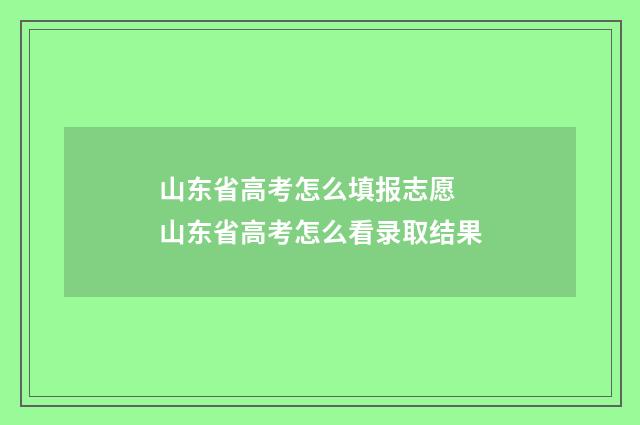 山东省高考怎么填报志愿 山东省高考怎么看录取结果