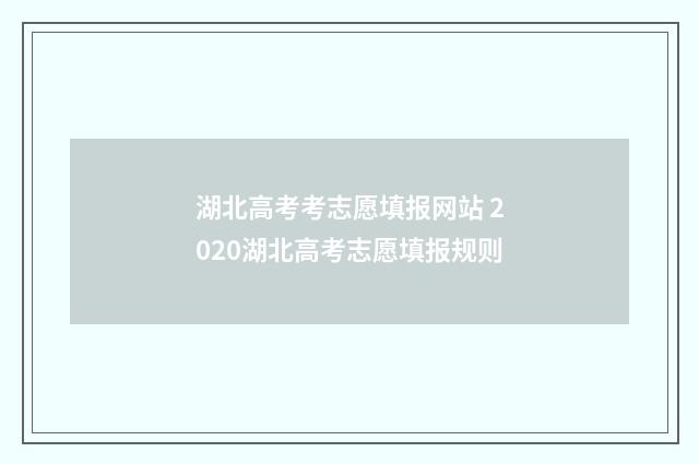 湖北高考考志愿填报网站 2020湖北高考志愿填报规则