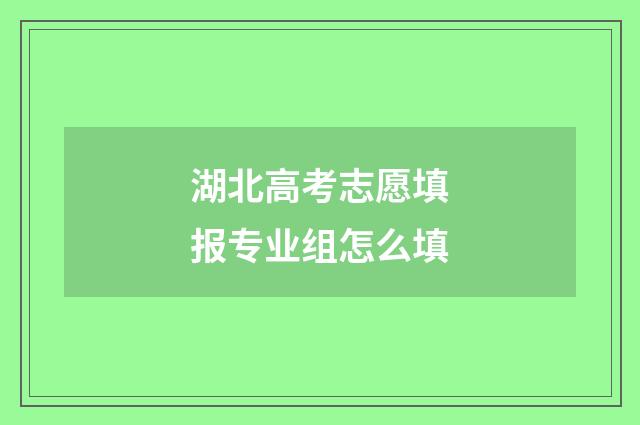 湖北高考志愿填报专业组怎么填