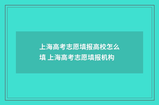 上海高考志愿填报高校怎么填 上海高考志愿填报机构