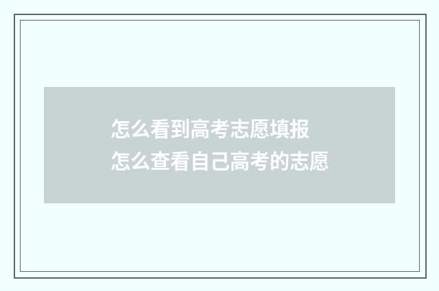 怎么看到高考志愿填报 怎么查看自己高考的志愿