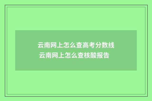 云南网上怎么查高考分数线 云南网上怎么查核酸报告