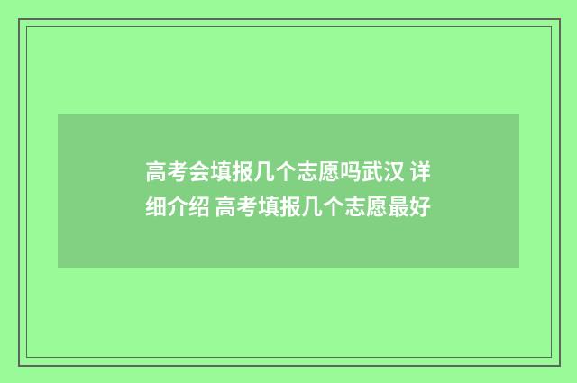 高考会填报几个志愿吗武汉 详细介绍 高考填报几个志愿最好