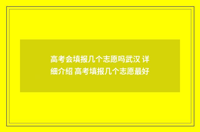 高考会填报几个志愿吗武汉 详细介绍 高考填报几个志愿最好