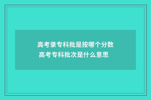 高考录专科批是按哪个分数 高考专科批次是什么意思