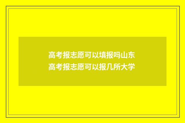 高考报志愿可以填报吗山东 高考报志愿可以报几所大学