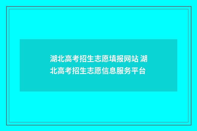 湖北高考招生志愿填报网站 湖北高考招生志愿信息服务平台