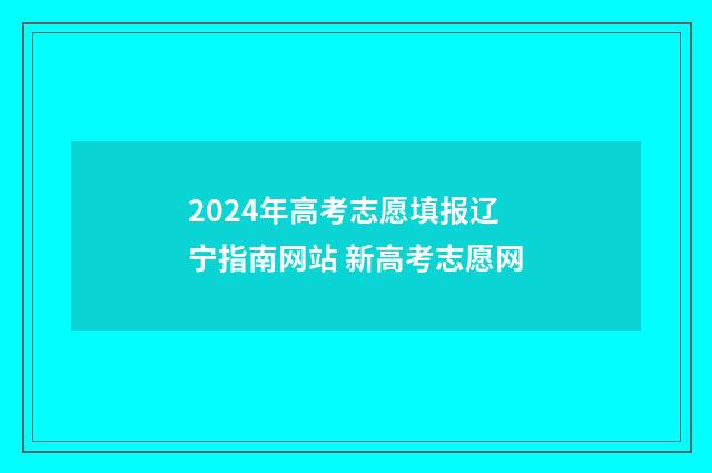 2024年高考志愿填报辽宁指南网站 新高考志愿网