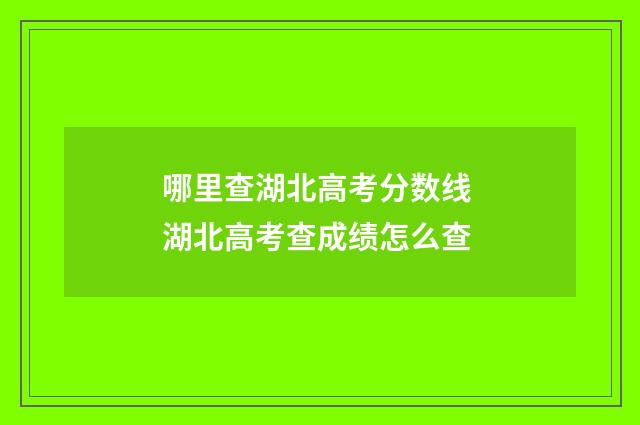 哪里查湖北高考分数线 湖北高考查成绩怎么查