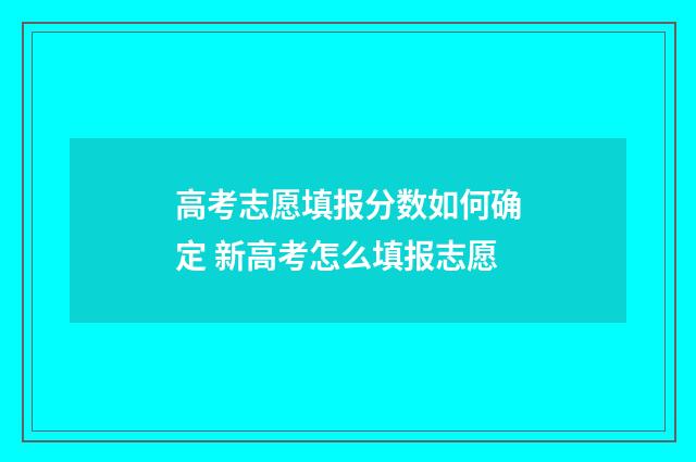 高考志愿填报分数如何确定 新高考怎么填报志愿