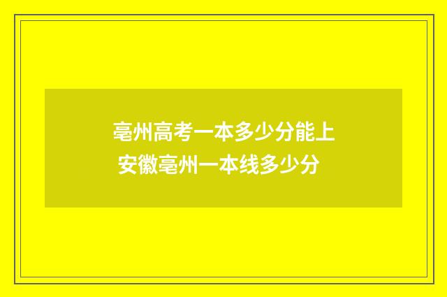 亳州高考一本多少分能上 安徽亳州一本线多少分