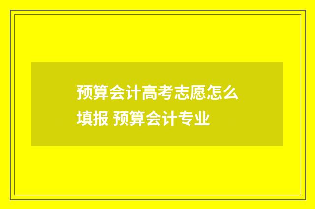 预算会计高考志愿怎么填报 预算会计专业