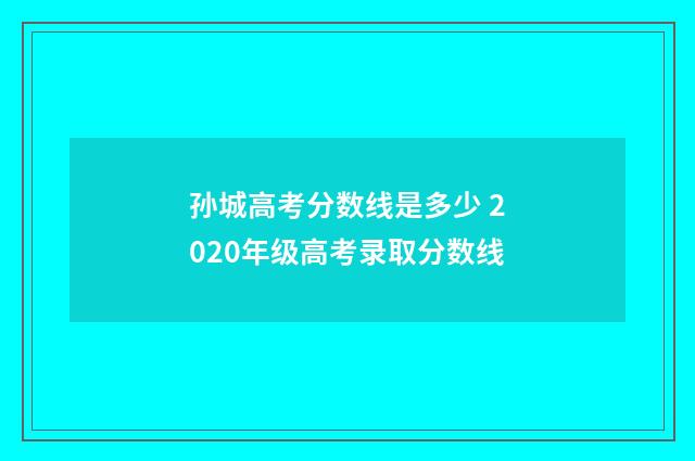 孙城高考分数线是多少 2020年级高考录取分数线