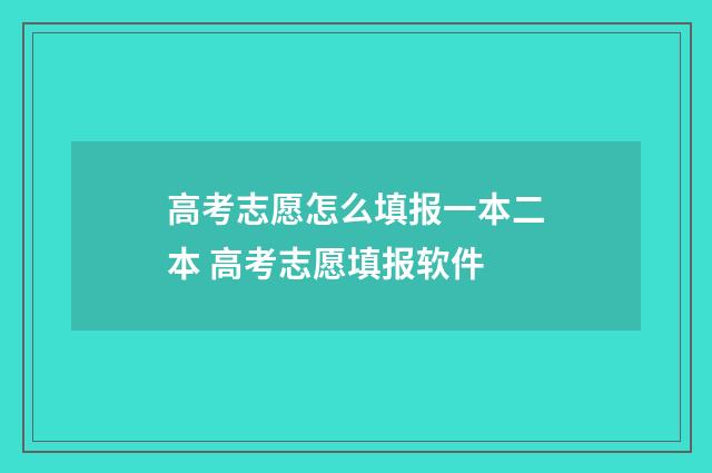 高考志愿怎么填报一本二本 高考志愿填报软件