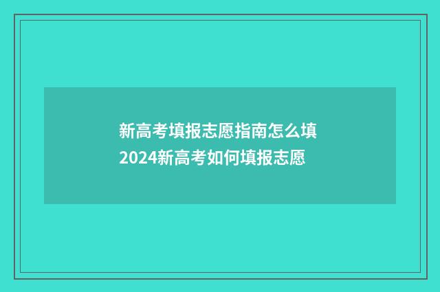 新高考填报志愿指南怎么填 2024新高考如何填报志愿
