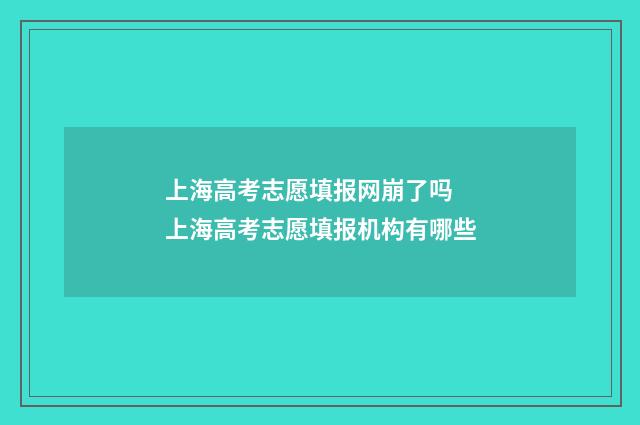 上海高考志愿填报网崩了吗 上海高考志愿填报机构有哪些