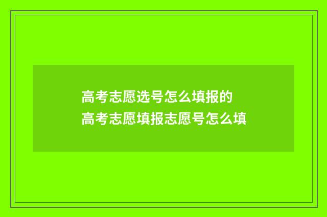 高考志愿选号怎么填报的 高考志愿填报志愿号怎么填