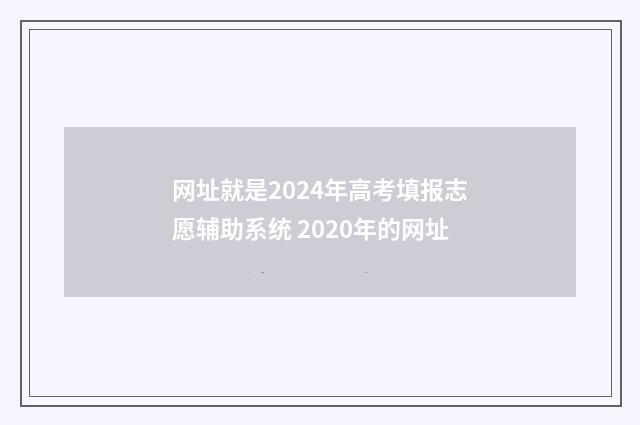 网址就是2024年高考填报志愿辅助系统 2020年的网址