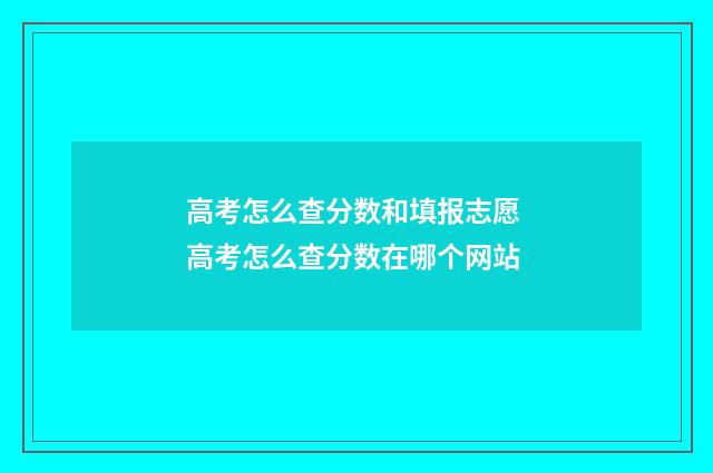高考怎么查分数和填报志愿 高考怎么查分数在哪个网站