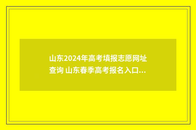 山东2024年高考填报志愿网址查询 山东春季高考报名入口官网