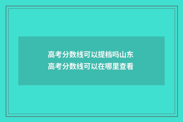 高考分数线可以提档吗山东 高考分数线可以在哪里查看