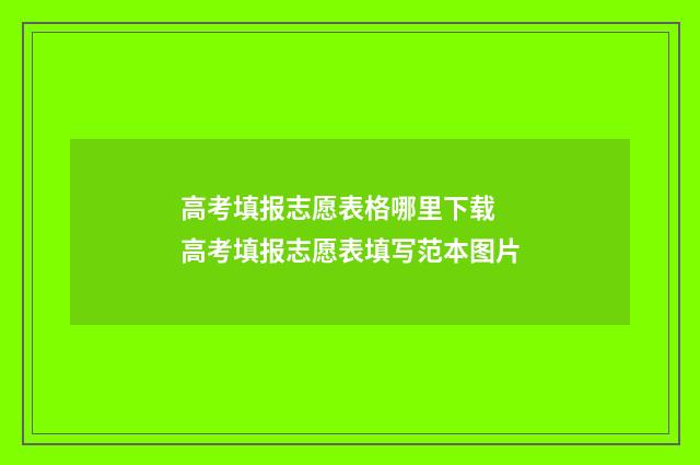 高考填报志愿表格哪里下载 高考填报志愿表填写范本图片