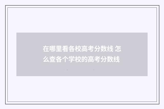 在哪里看各校高考分数线 怎么查各个学校的高考分数线