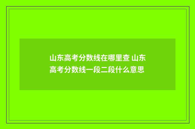山东高考分数线在哪里查 山东高考分数线一段二段什么意思