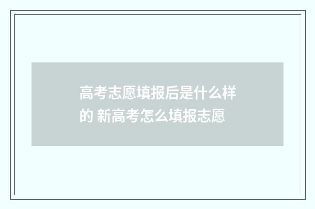 高考志愿填报后是什么样的 新高考怎么填报志愿