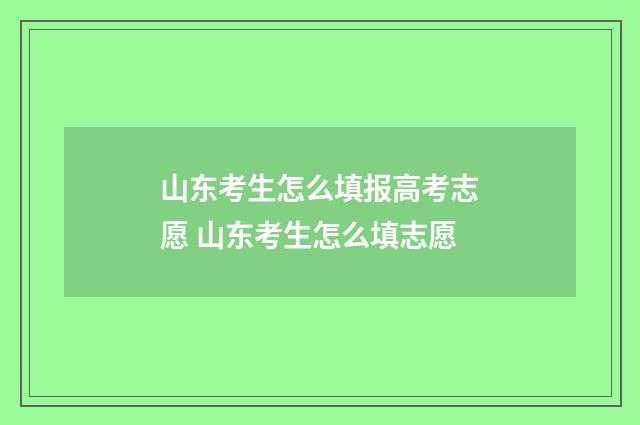 山东考生怎么填报高考志愿 山东考生怎么填志愿