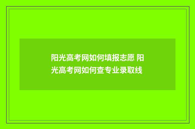 阳光高考网如何填报志愿 阳光高考网如何查专业录取线