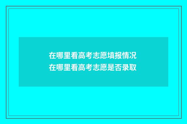 在哪里看高考志愿填报情况 在哪里看高考志愿是否录取