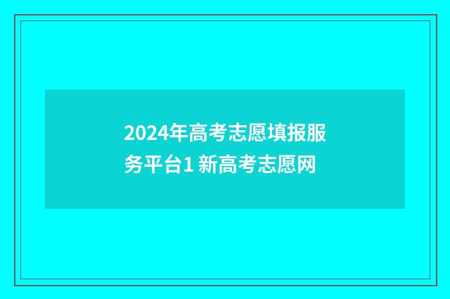 2024年高考志愿填报服务平台1 新高考志愿网