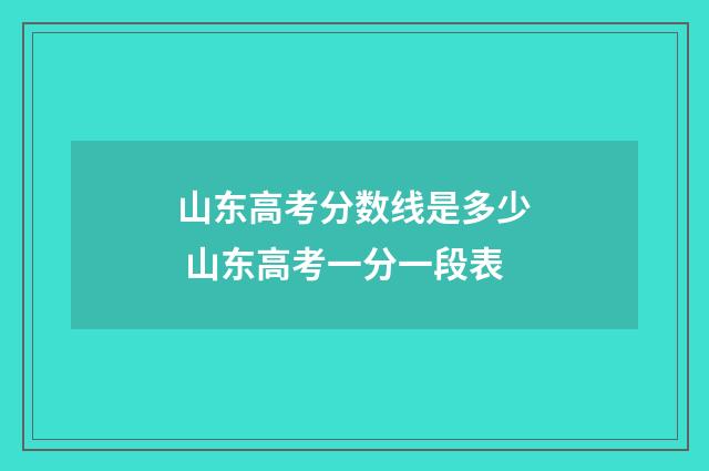 山东高考分数线是多少 山东高考一分一段表