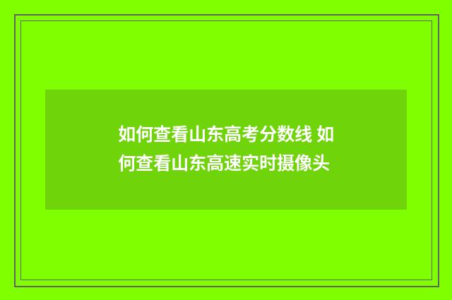 如何查看山东高考分数线 如何查看山东高速实时摄像头