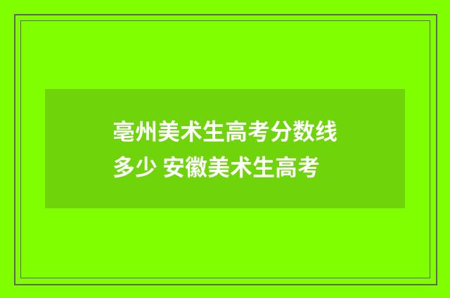 亳州美术生高考分数线多少 安徽美术生高考