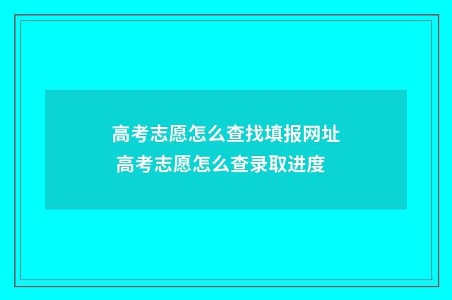 高考志愿怎么查找填报网址 高考志愿怎么查录取进度