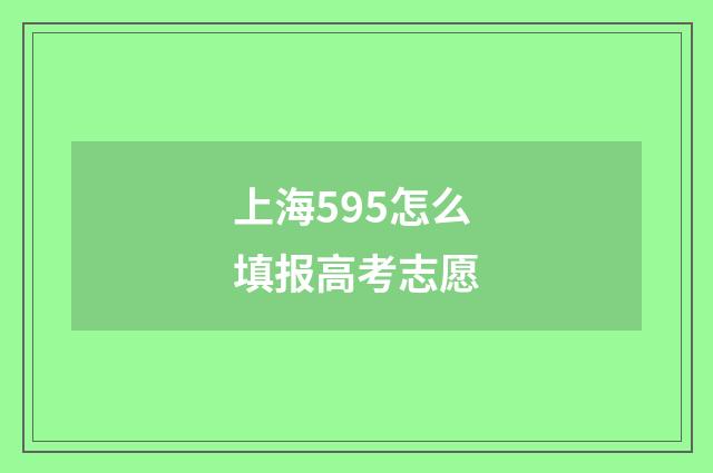 上海595怎么填报高考志愿