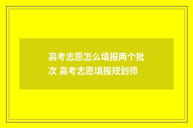 高考志愿怎么填报两个批次 高考志愿填报规划师