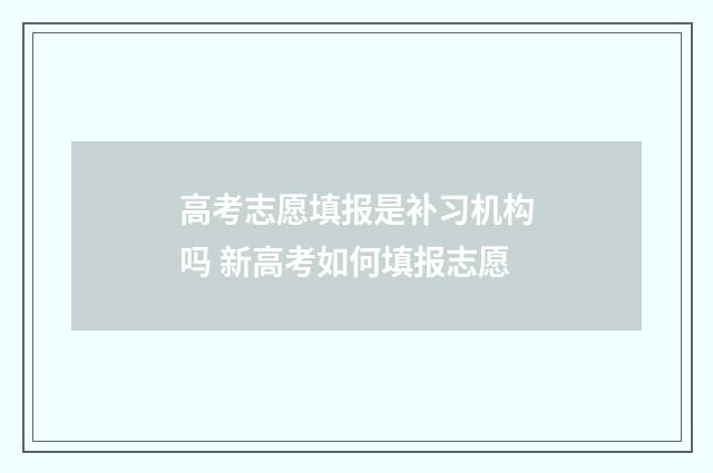 高考志愿填报是补习机构吗 新高考如何填报志愿
