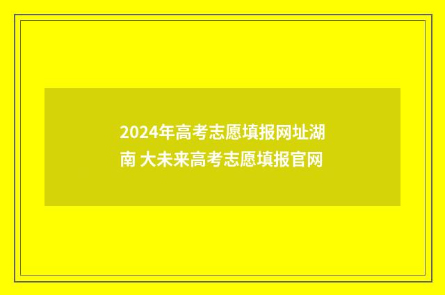 2024年高考志愿填报网址湖南 大未来高考志愿填报官网
