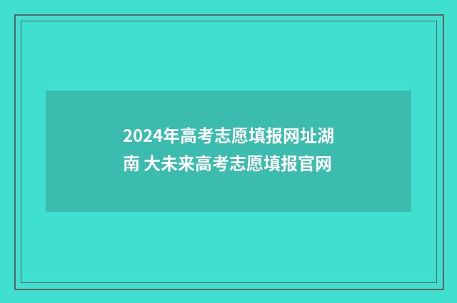 2024年高考志愿填报网址湖南 大未来高考志愿填报官网