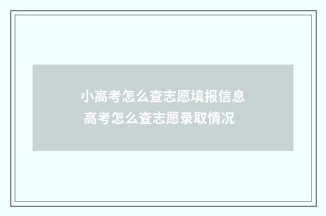 小高考怎么查志愿填报信息 高考怎么查志愿录取情况