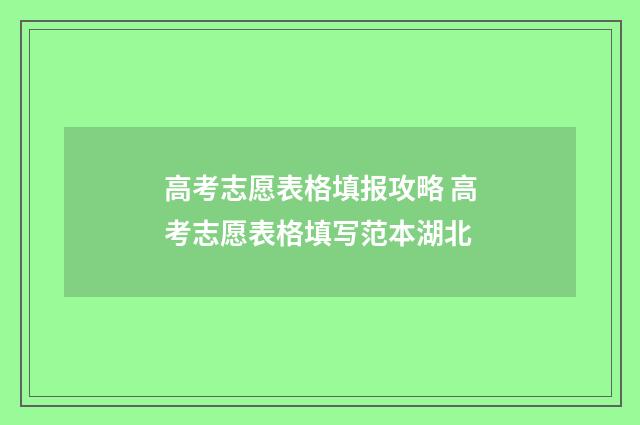 高考志愿表格填报攻略 高考志愿表格填写范本湖北