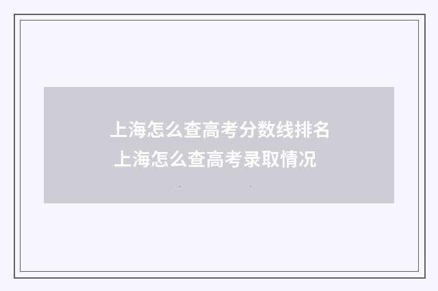 上海怎么查高考分数线排名 上海怎么查高考录取情况
