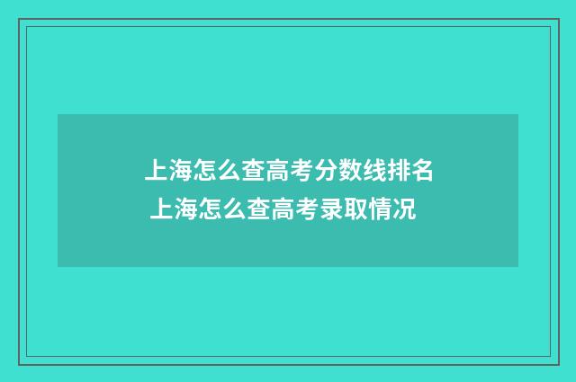 上海怎么查高考分数线排名 上海怎么查高考录取情况