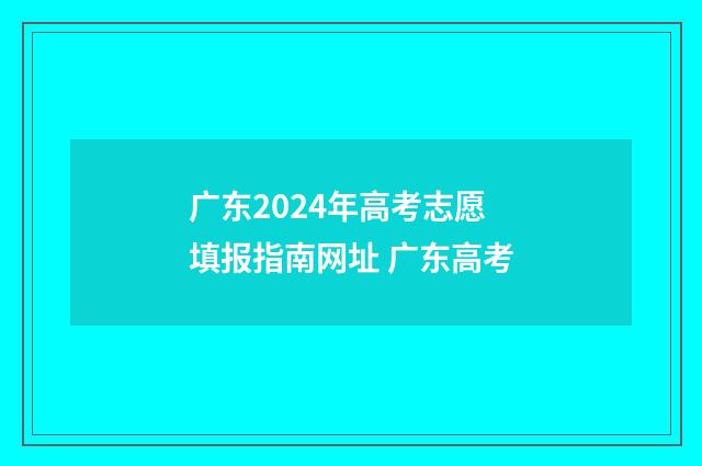 广东2024年高考志愿填报指南网址 广东高考