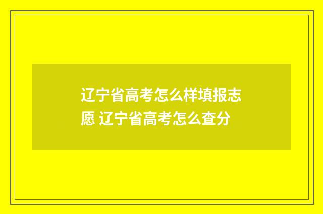 辽宁省高考怎么样填报志愿 辽宁省高考怎么查分